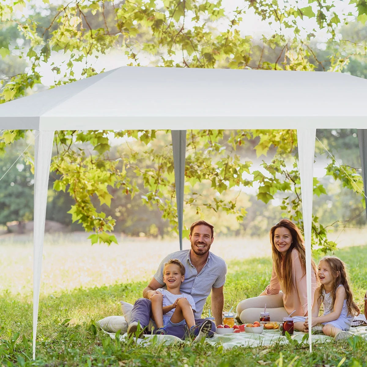10'x20' Heavy Duty Outdoor Canopy C69331