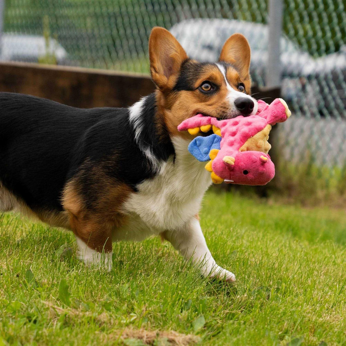 Plush Dog Toy E1053