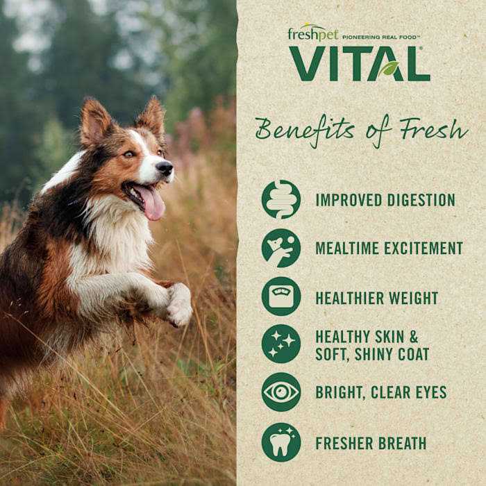 Grain-Free Chicken Small Breed Dog Food C25243
