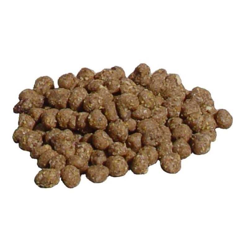 Peanut Suet Nuggets V515687