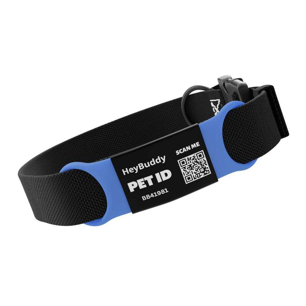 Noiseless QR Code Pet Tag Y570352