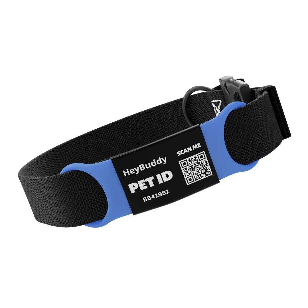 Noiseless QR Code Pet Tag Y570352