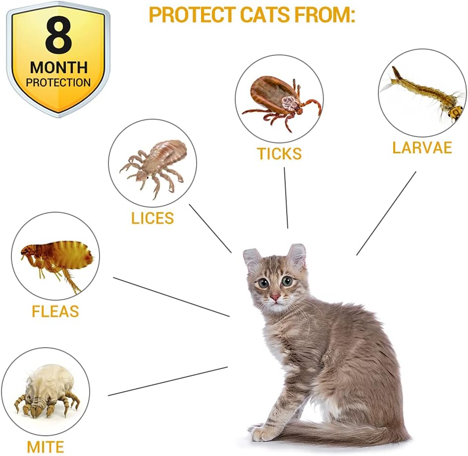 Flea and Tick Collar for Cats Small Size 4 Pack 38cm 8 Month Protection B513