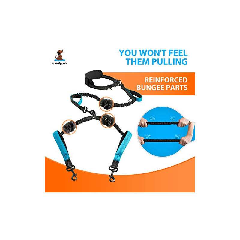 Hands Free Double Dog Leash V1541