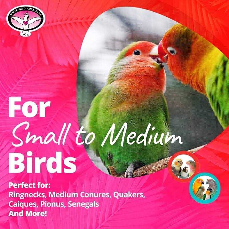 Bird Pickin Pocket T282352
