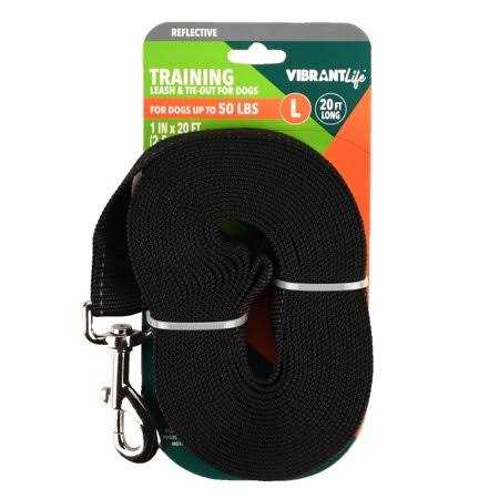 20′ Polyester Slip Lead Dog Leash M973