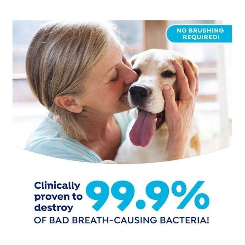 Fresh Dental Gel Toothpaste for Dogs & Cats H912