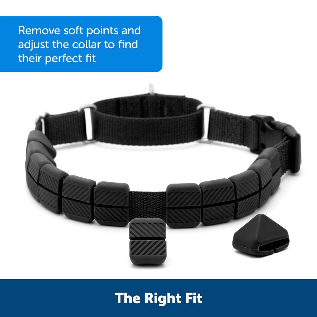 Soft Point Training Collar H845