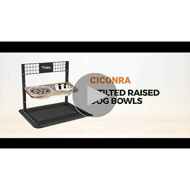 Metal Elevated Dog Bowls with Slow Feeder and Stainless Steel Bowls S818645