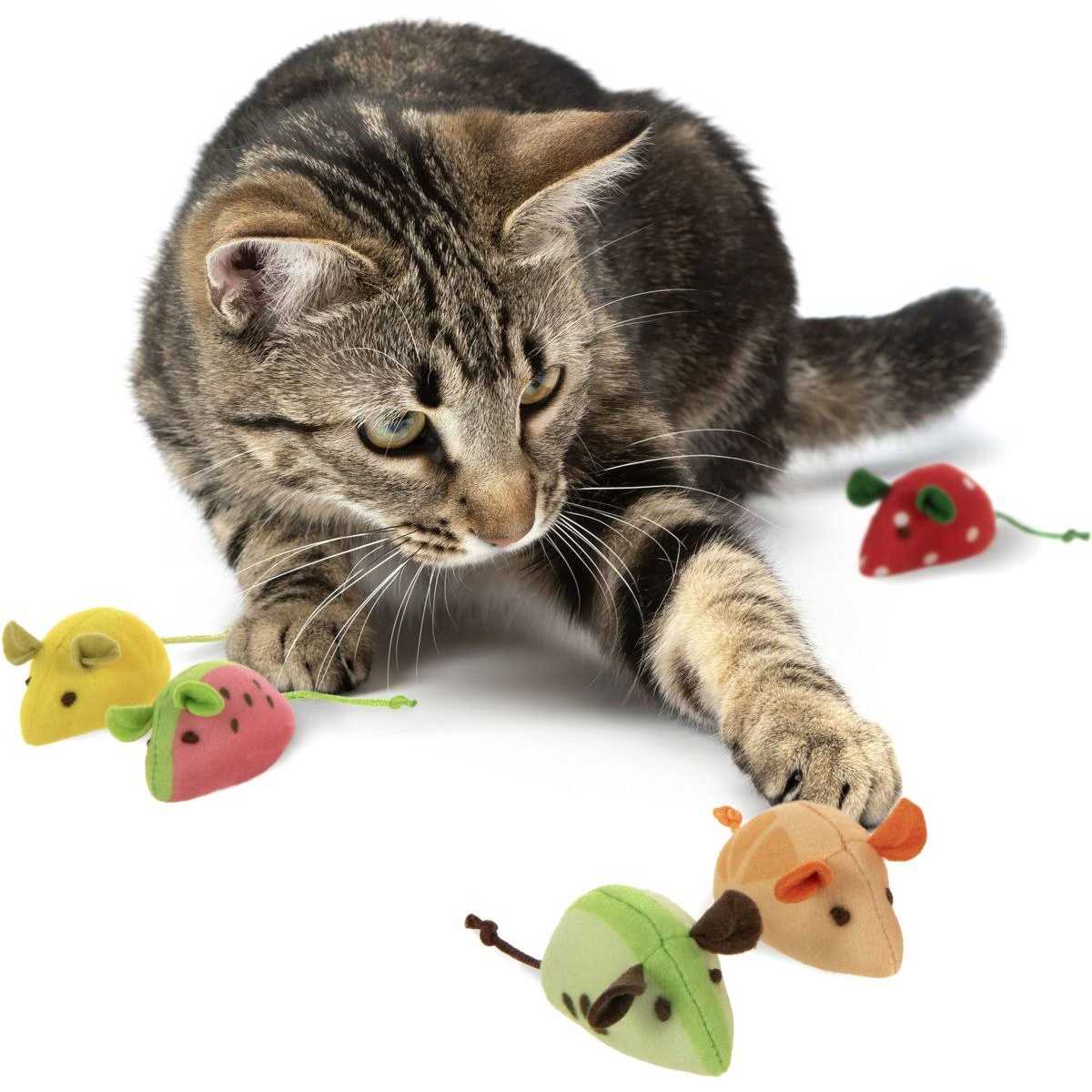 Cat Toy V3969