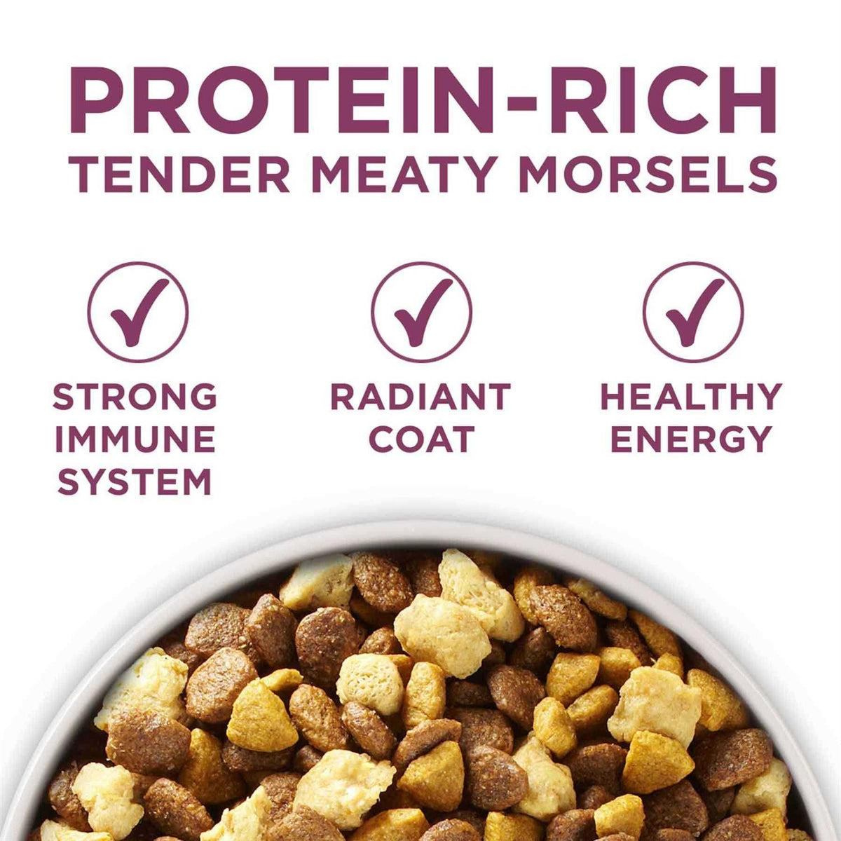 Dry Dog Food Z4851