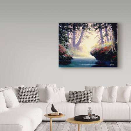Tropical Landscape D937499