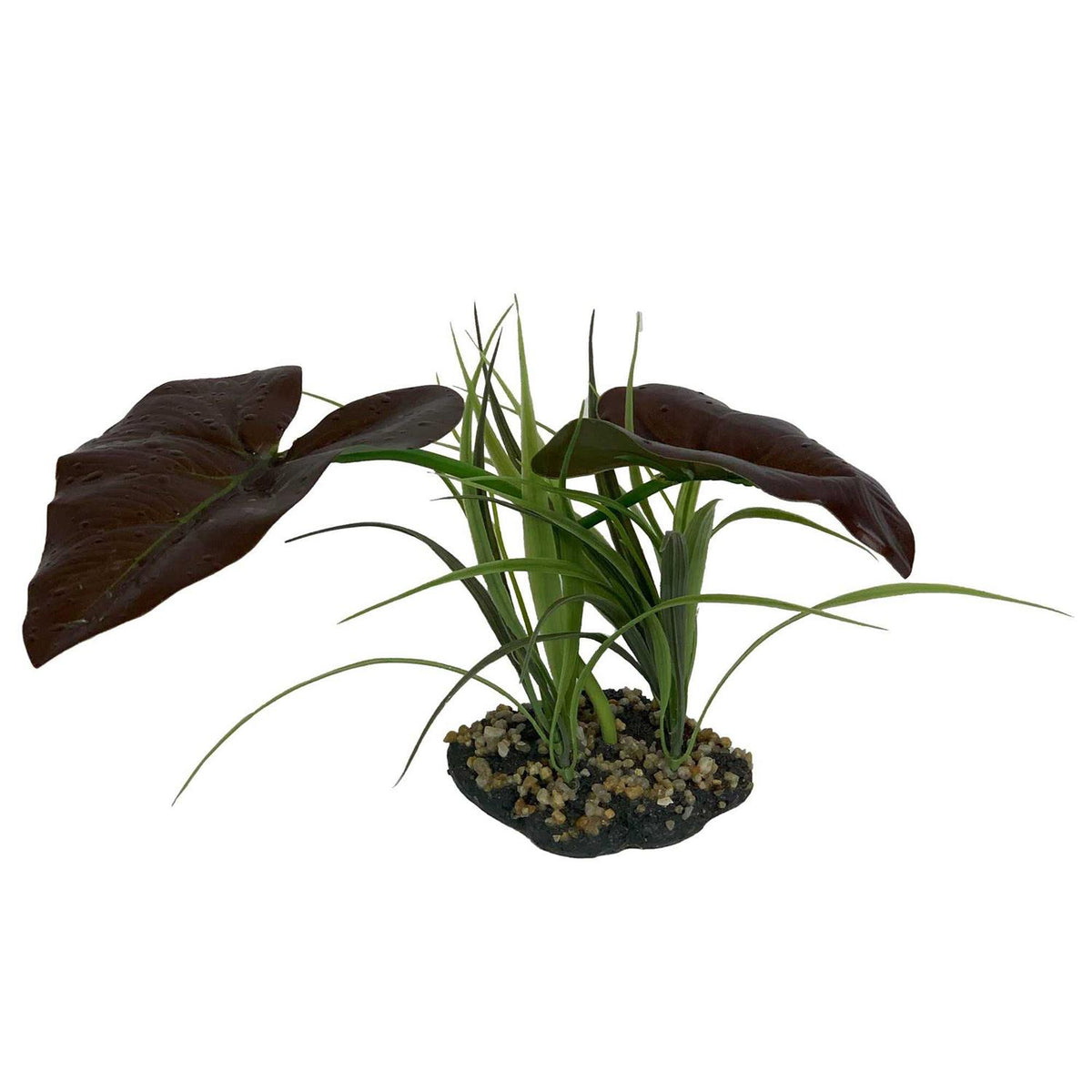 Canopy Plant K62380