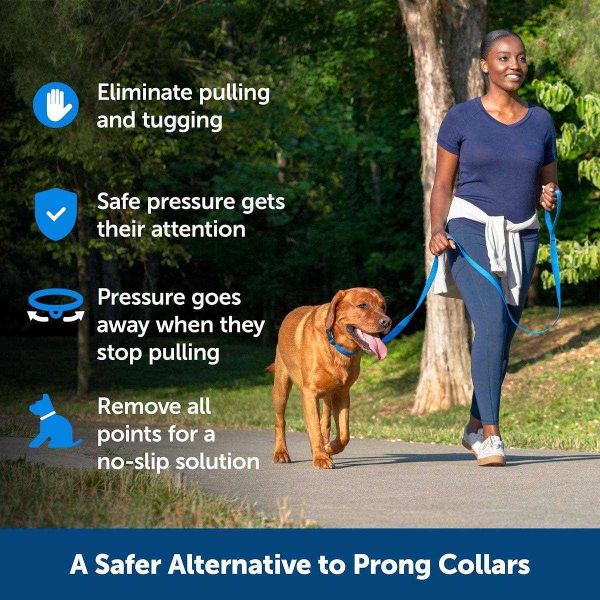 Soft Point Training Collar H845