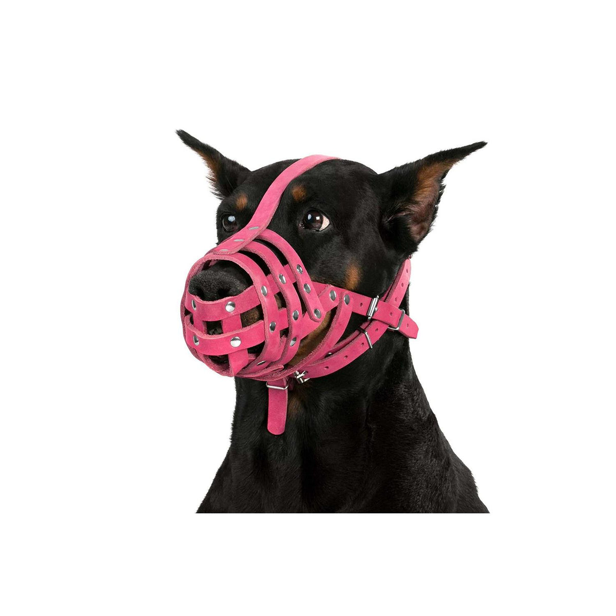Leather Dog Muzzle Medium Large Breeds J35837