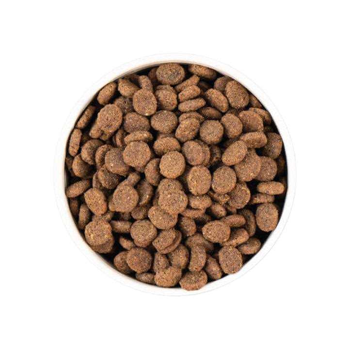 Unrefined Smoked Salmon Dry Dog Food M6372