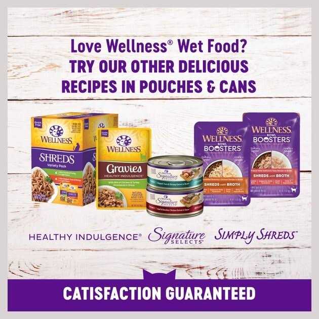 Natural Grain Free Gravy Cat Food Pouch I5309