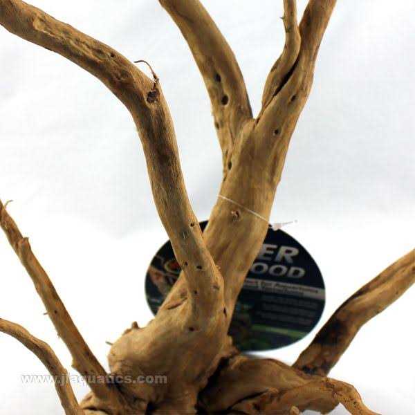 Spider Wood B357848