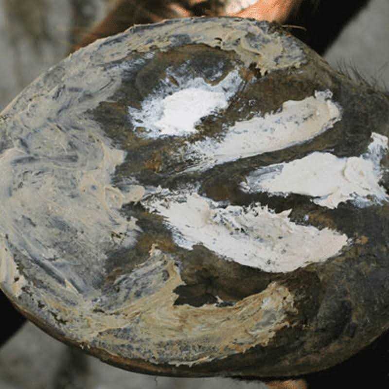 Hoof Clay 750g Z750