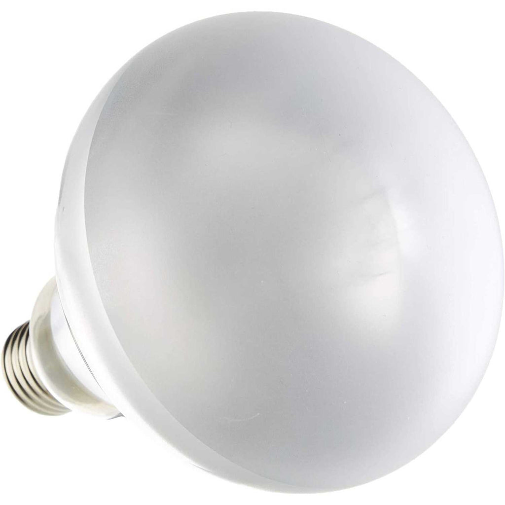 Mercury Vapor Lamp Z149