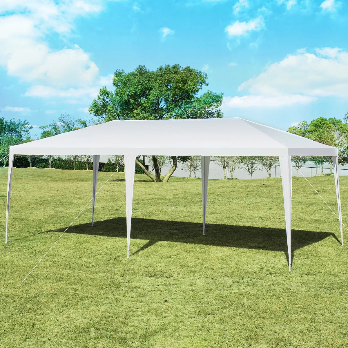 10'x20' Heavy Duty Outdoor Canopy C69331