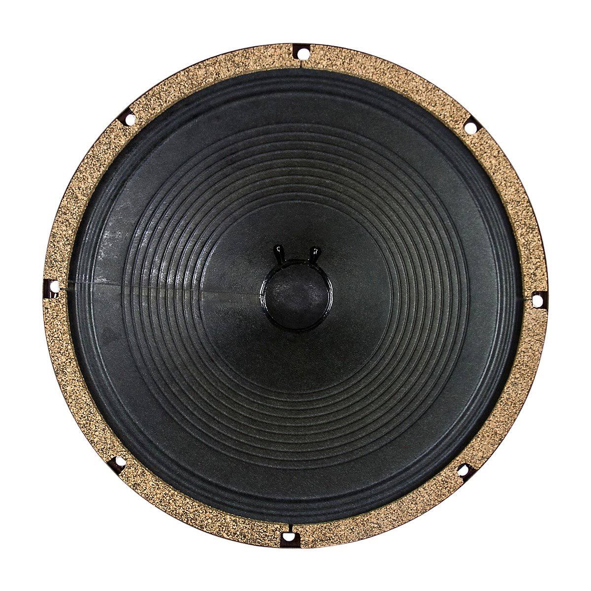 12" 75W 8 Ohm Guitar Speaker B301