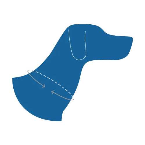 Dog Collar X61635