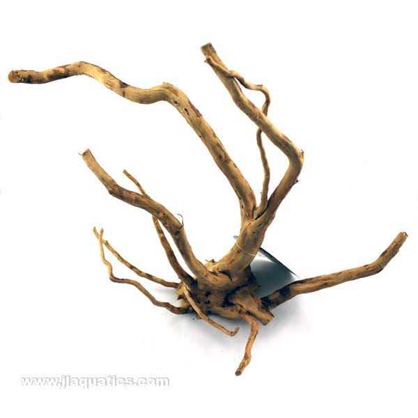 Spider Wood B357848