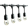 Black 12-Bulb Incandescent String Lights O301684