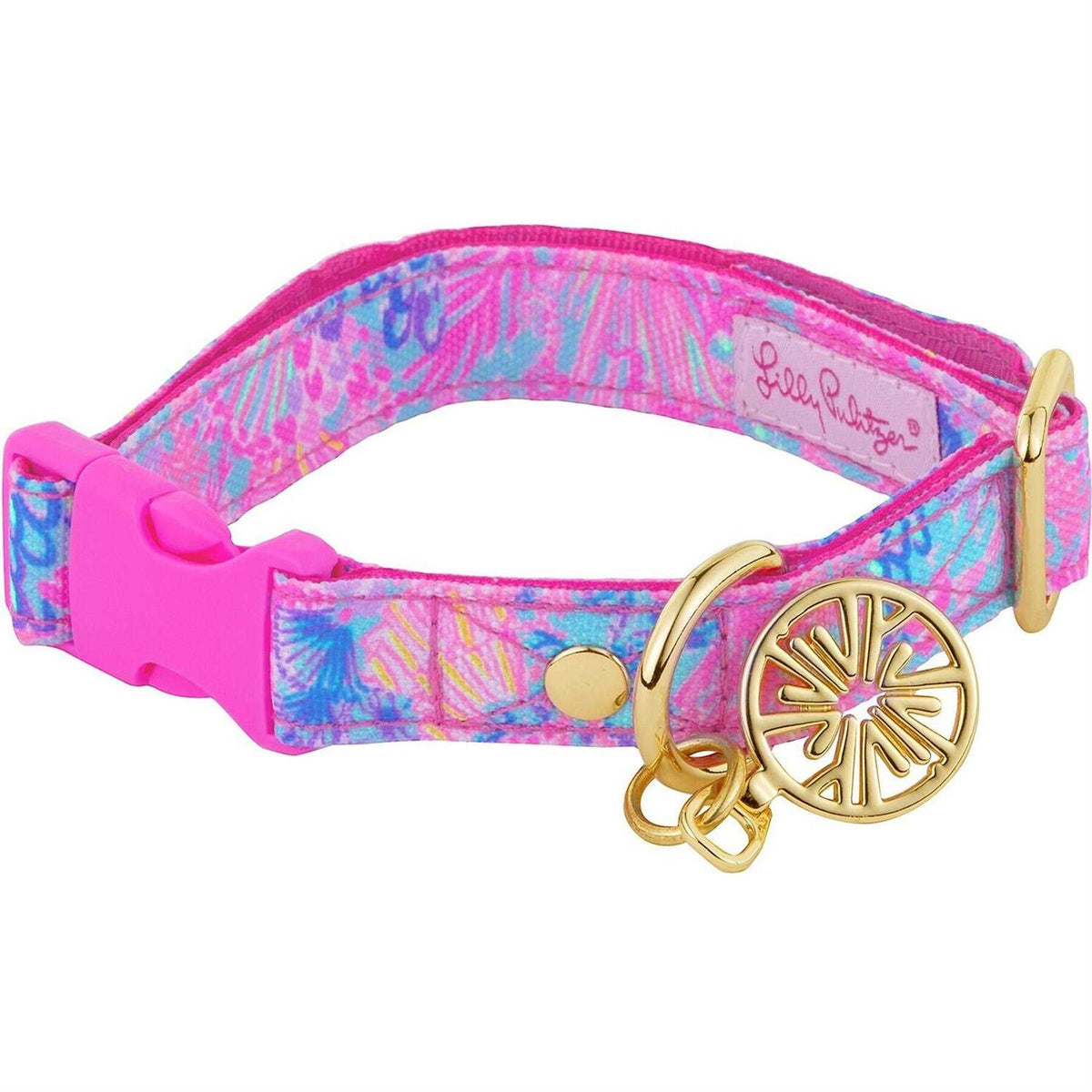 Dog Collar C494
