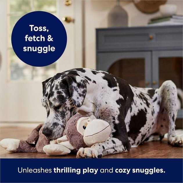 Monkey Plush Squeaky Dog Toy A57460