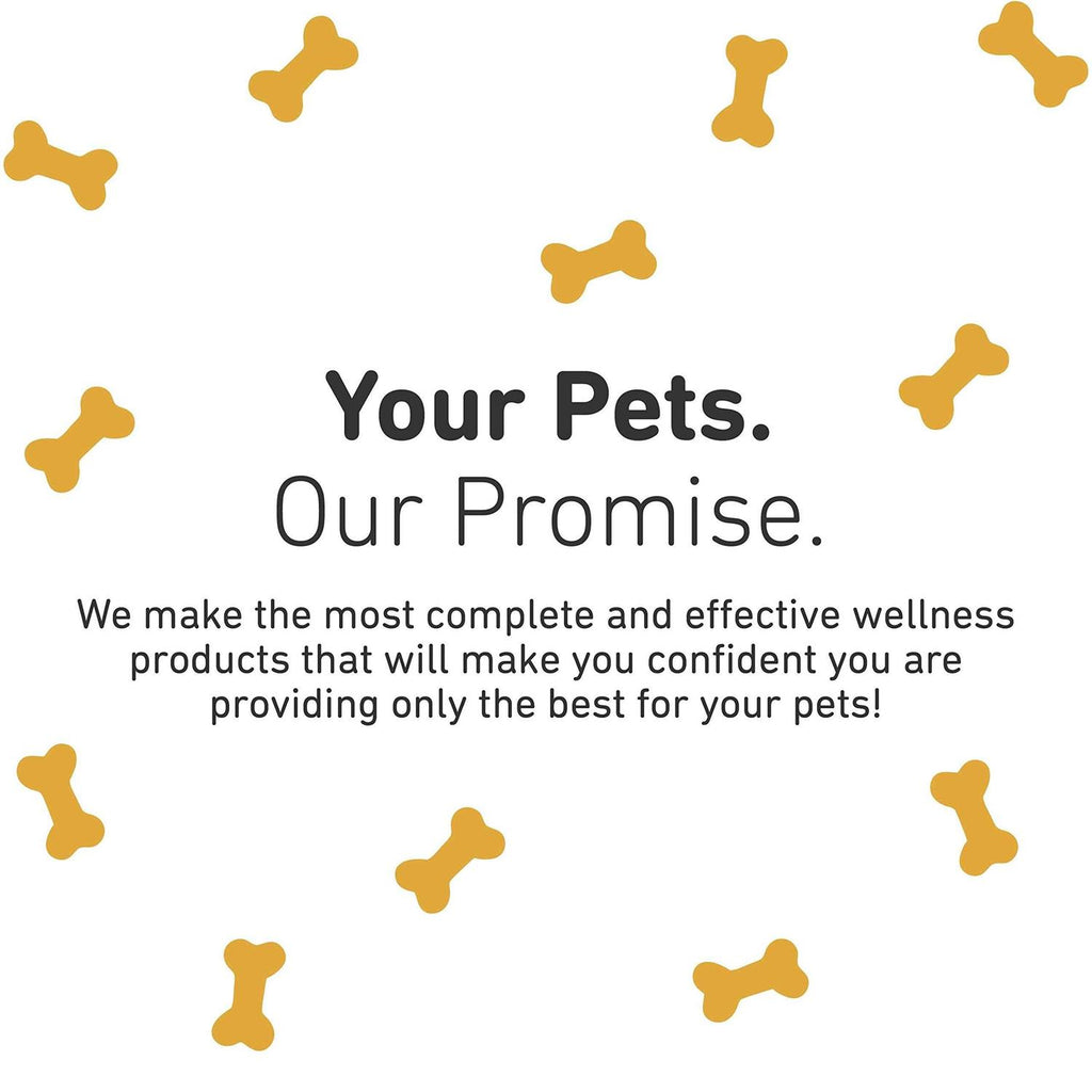 Healthy Skin & Coat Pet Supplies K958610
