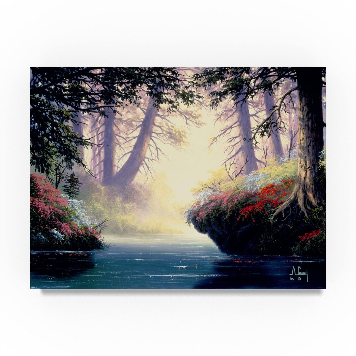 Tropical Landscape D937499