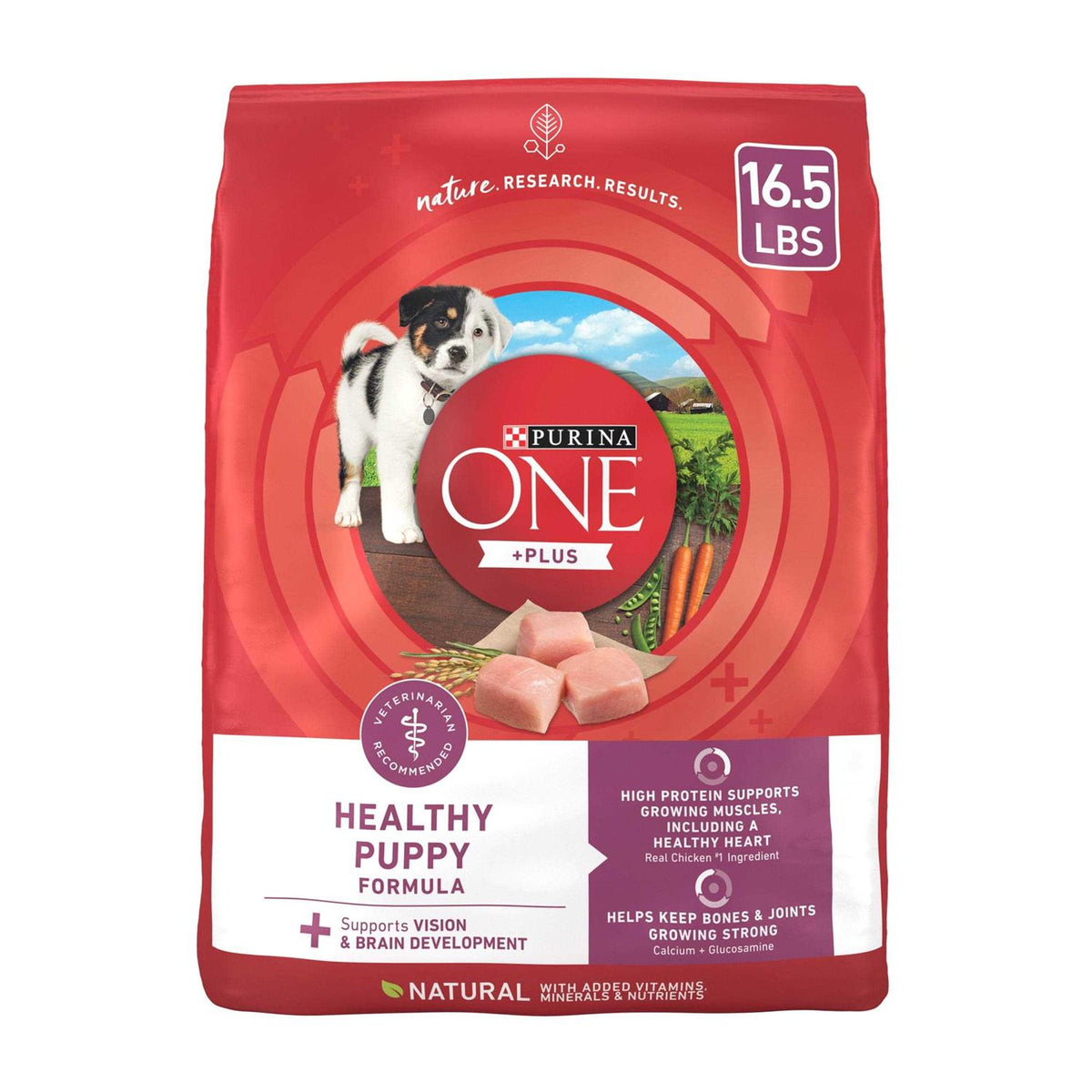 Dry Dog Food Z4851