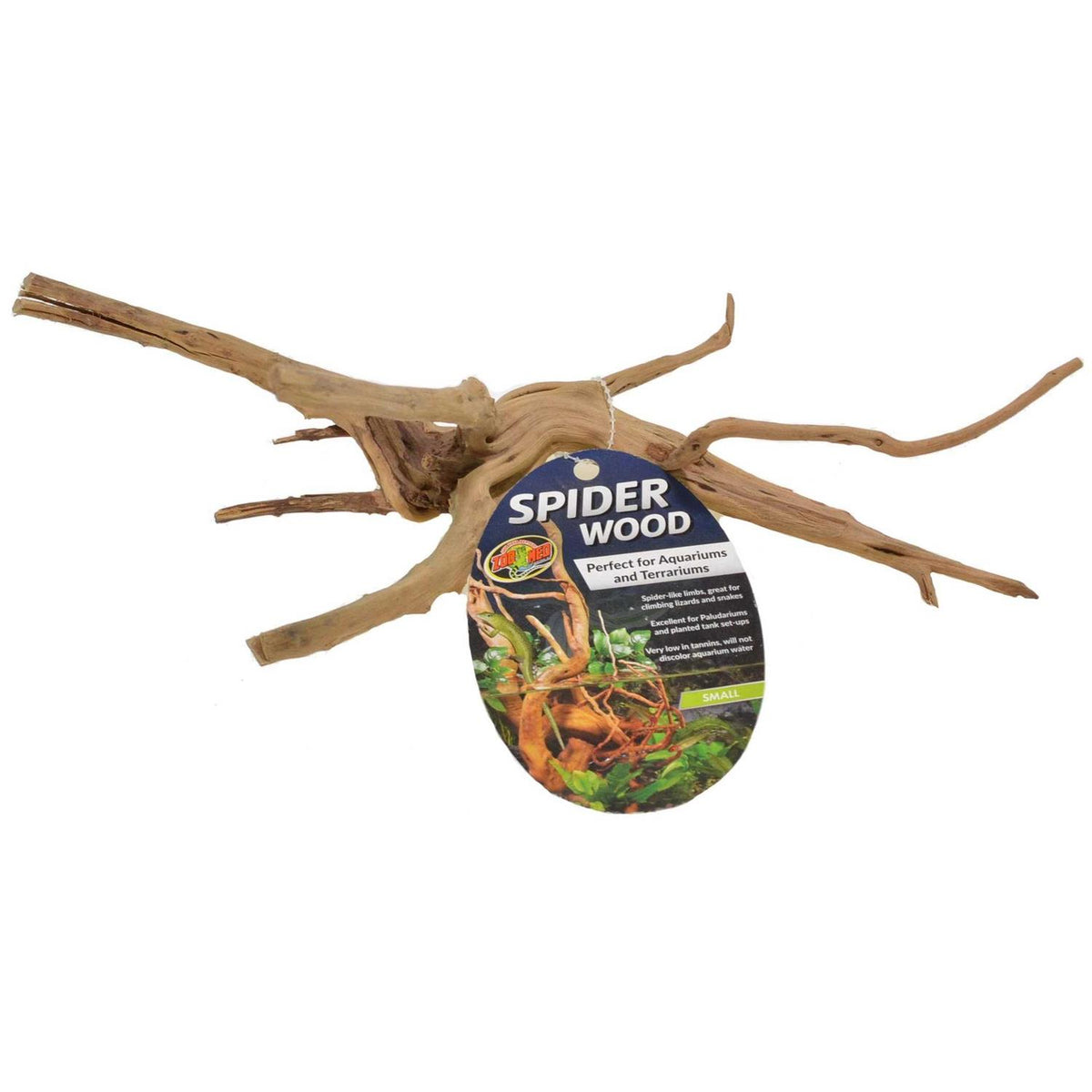 Spider Wood B357848