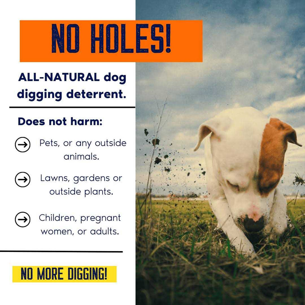 Digging Dog Prevention Spray B479727