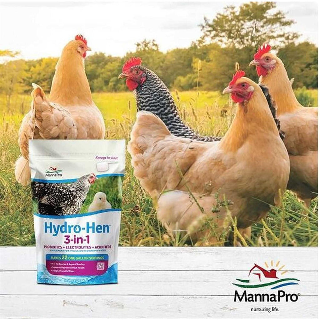 3-in-1 Supplement E663511