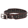 Studded Leather Dog Collar R558151