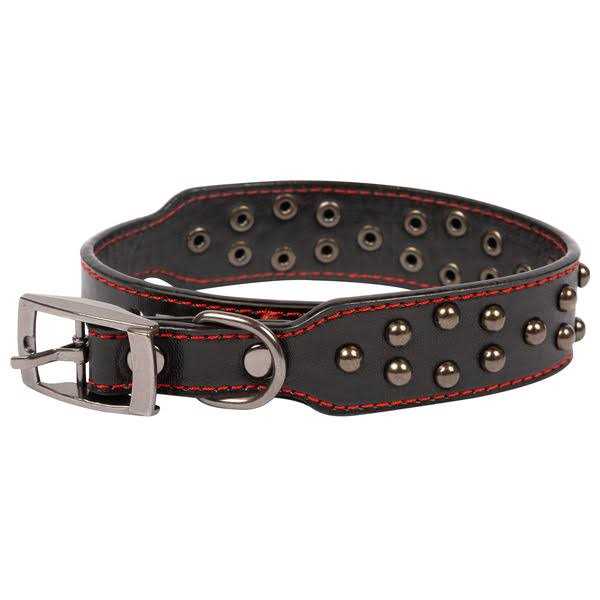 Studded Leather Dog Collar R558151