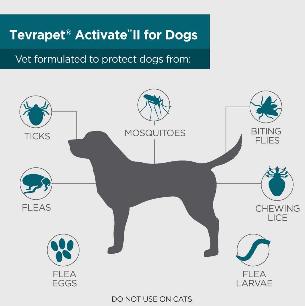 16 Monthly Doses Flea and Tick Prevention for Dogs G712565