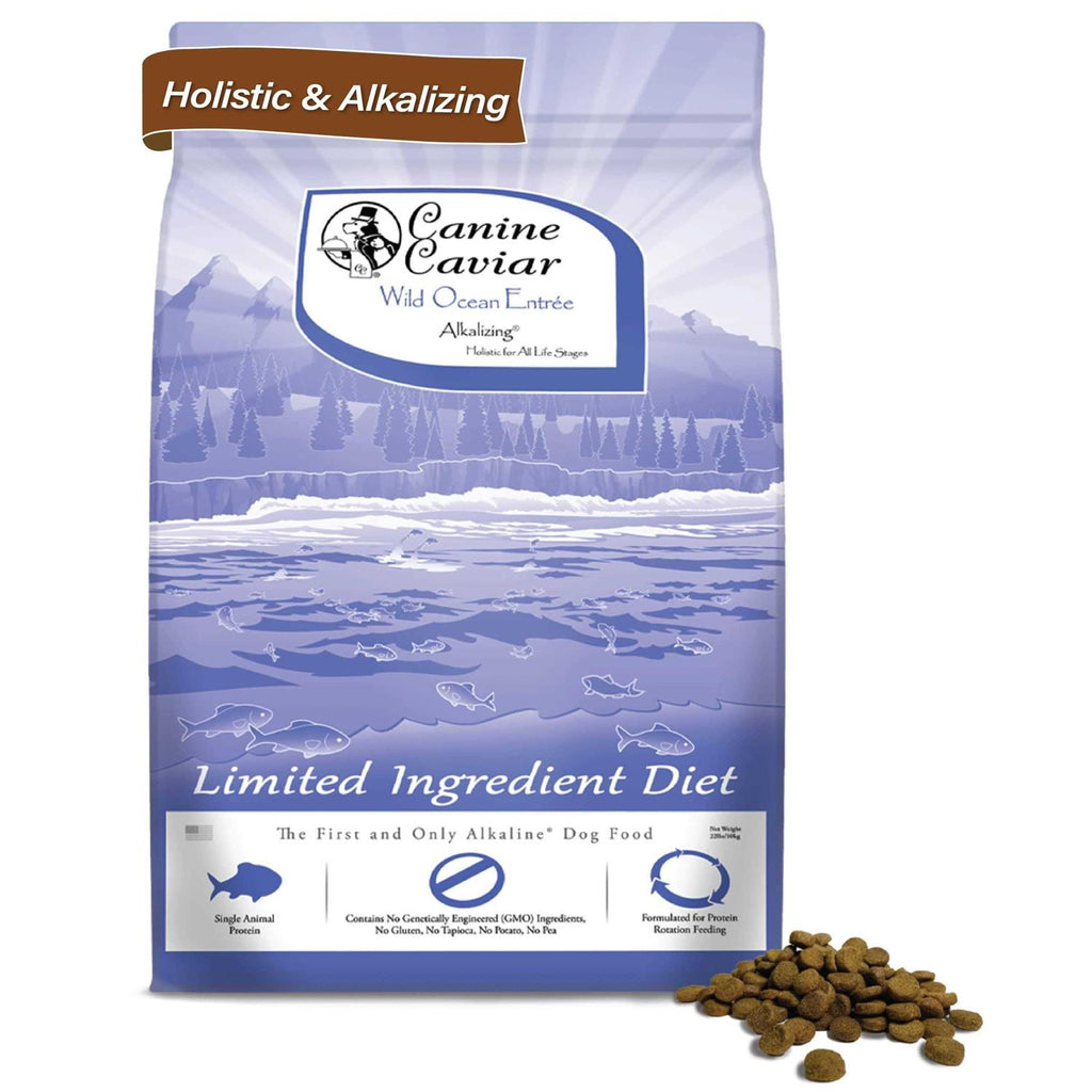 Grain-Free Dry Dog Food N972