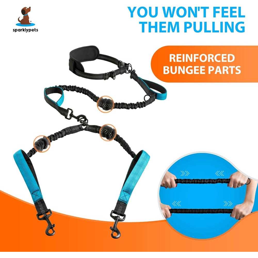 Hands Free Double Dog Leash V1541