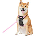 Padded Nylon No Pull Dog Harness I875