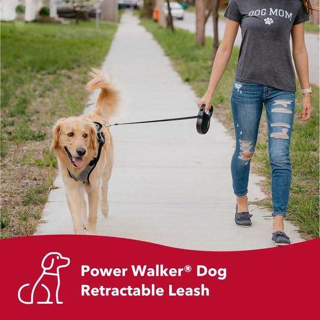 Retractable Dog Leash I490047