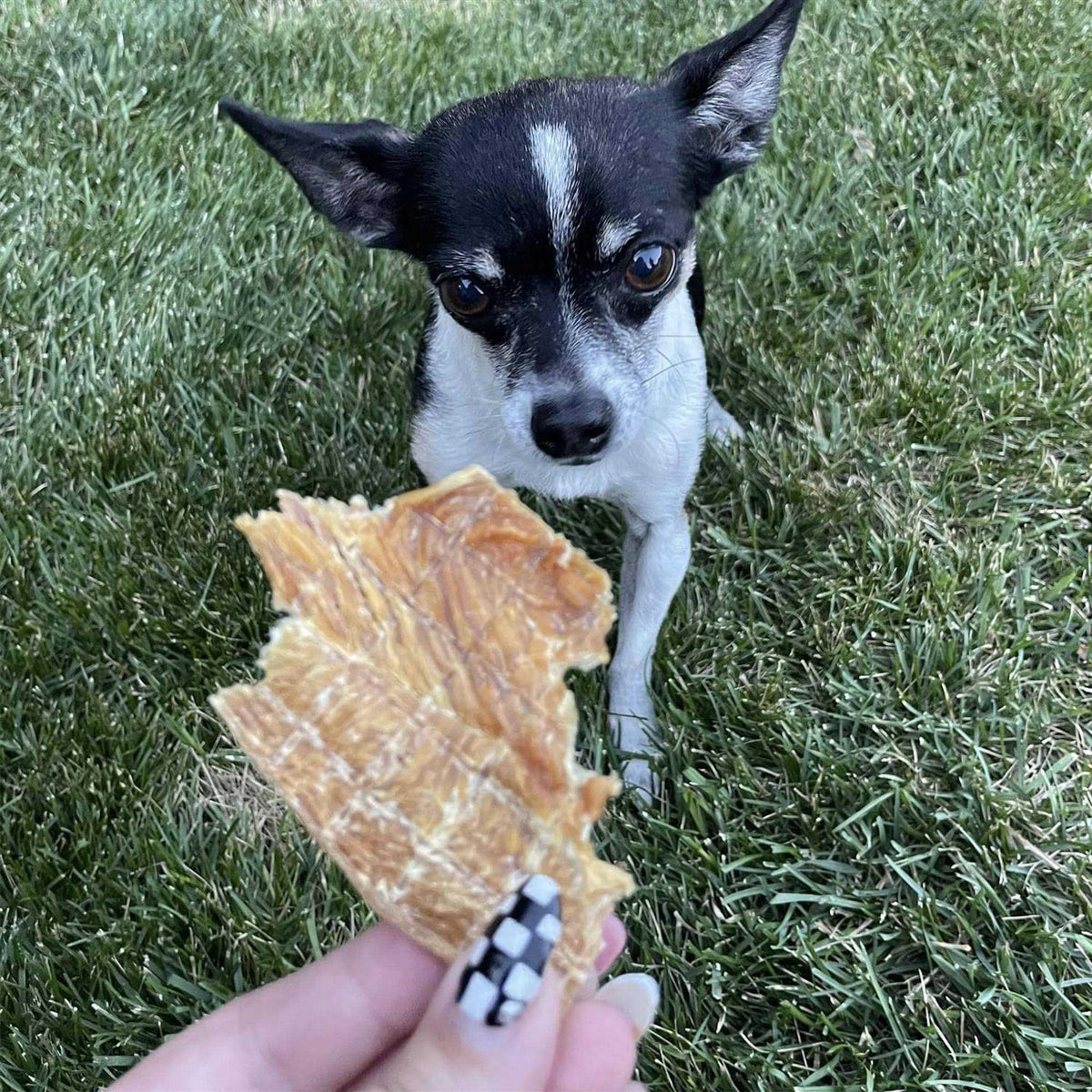 Jerky Dog Treats H9687