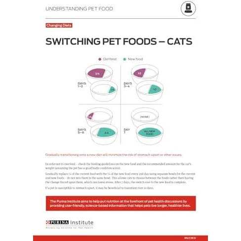 Kitten Dry Food P37737