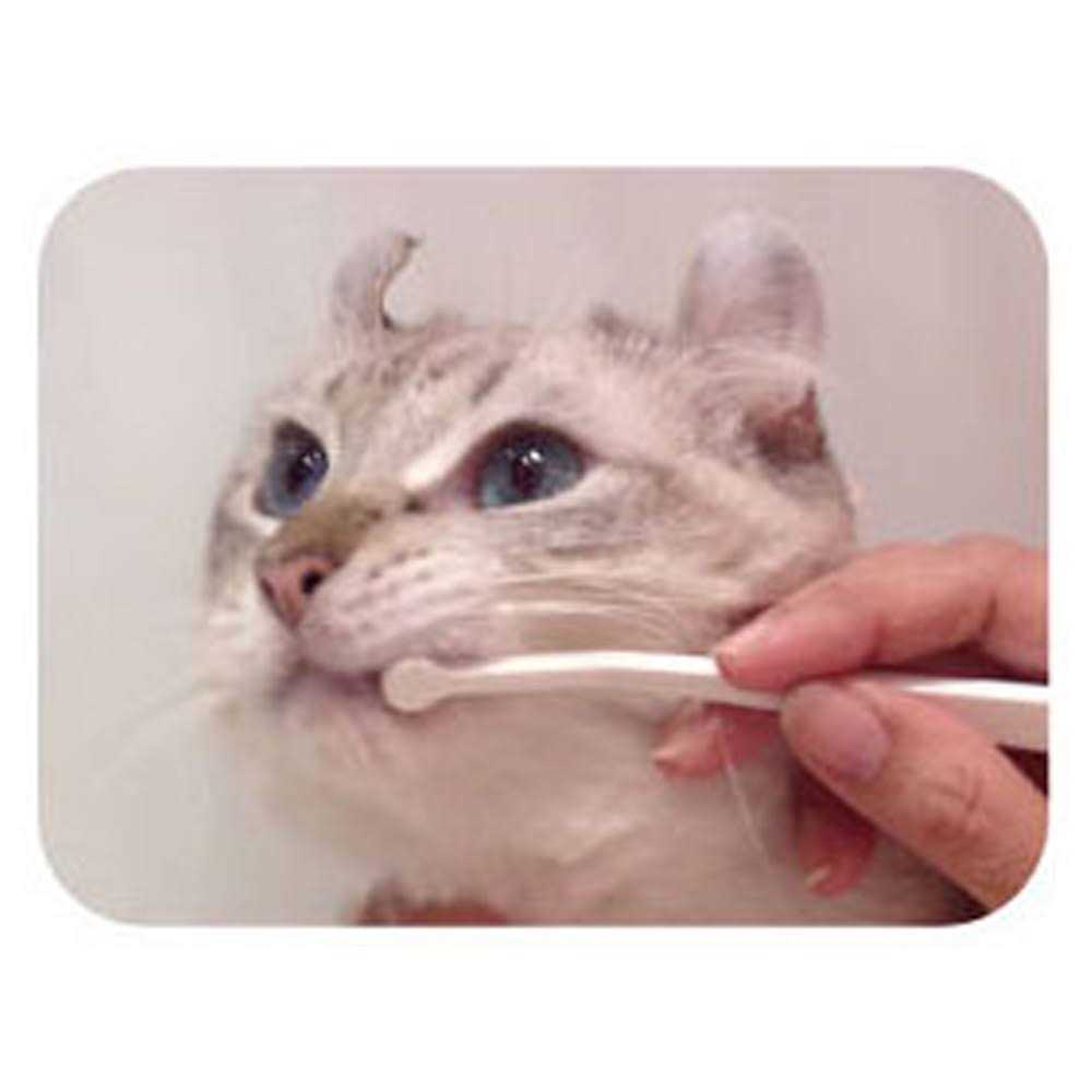 Toothbrush Micro Head for Cats E4273
