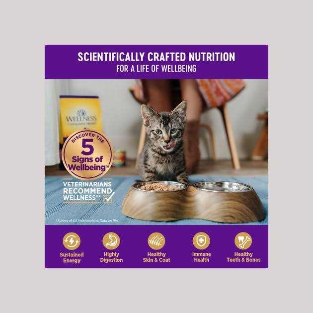 Natural Grain Free Gravy Cat Food Pouch I5309