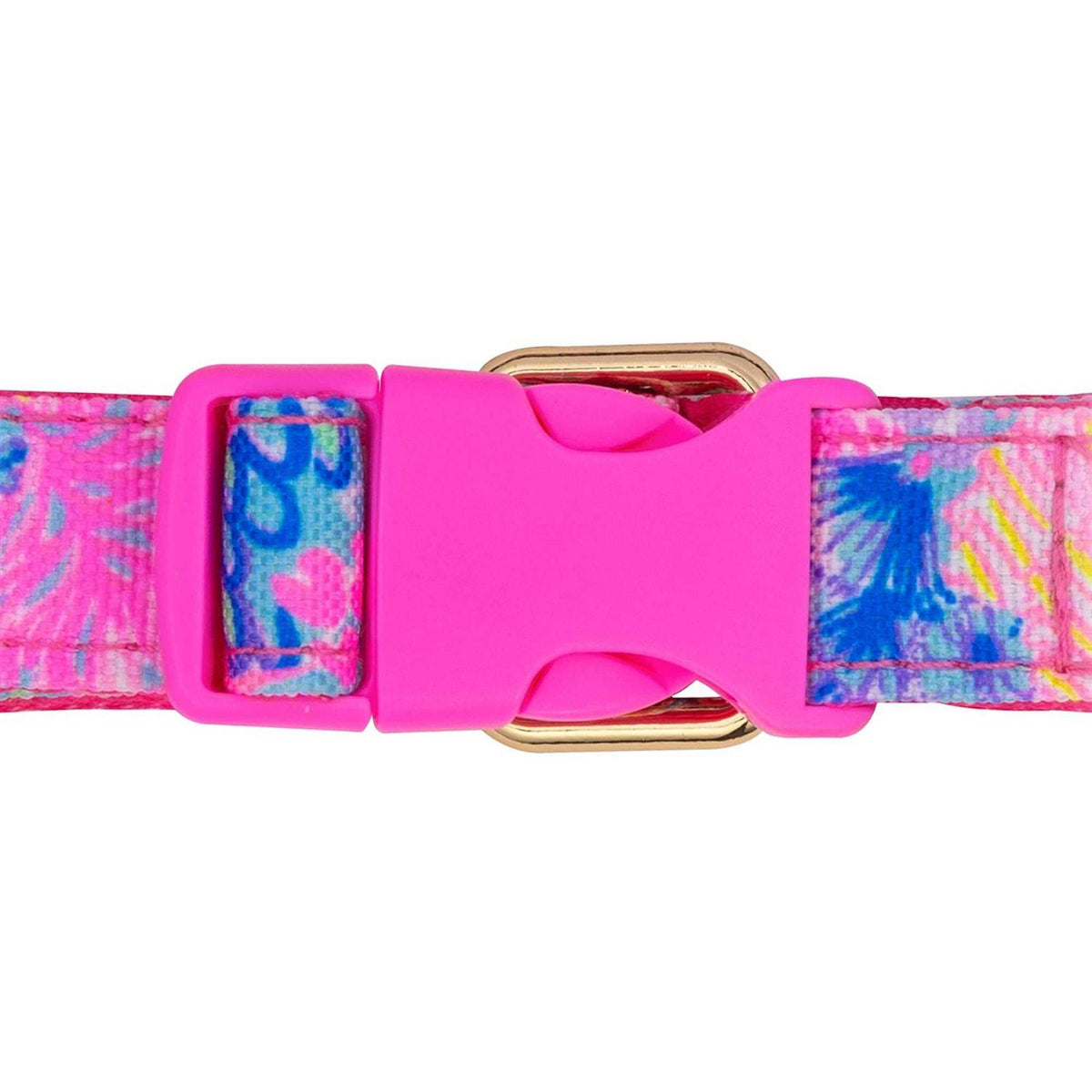 Dog Collar C494