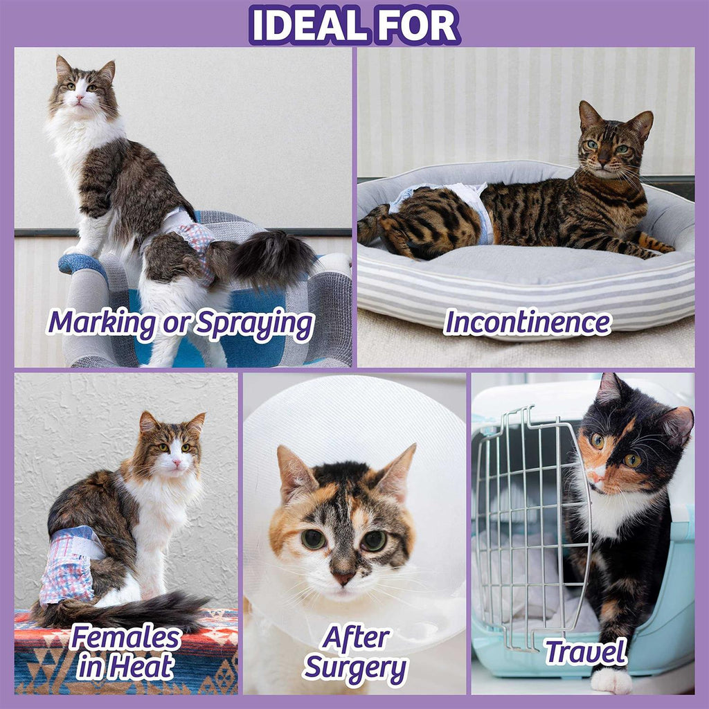 Disposable Cat Diapers S48306